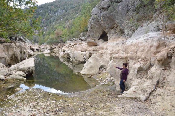 Antalya’da Üzümdere Irmağı Kurudu, Yavru Alabalıklar Telef Oldu