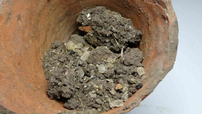 1600 Yıllık Balık Kılçığı Ve Pulları Bulundu