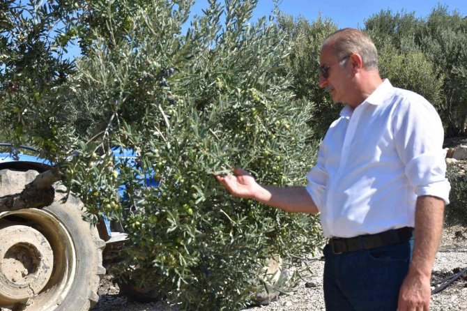 Didim Belediyesi Türkiye’de Bir İlke İmza Attı