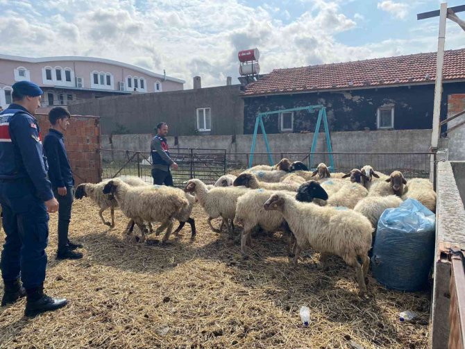 Bandırma’da Dolandırıcılara Jasat Operasyonu