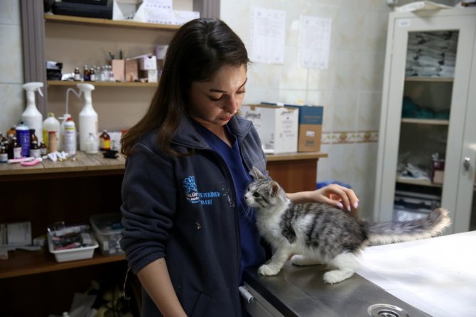 Bursa’da Tedavi Gören Can Dostlara ‘Koruyucu Aileler’ Aranıyor