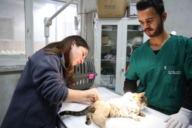 Bursa’da Tedavi Gören Can Dostlara ‘Koruyucu Aileler’ Aranıyor