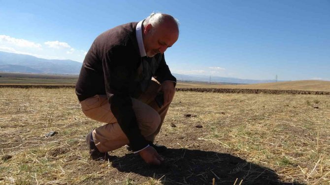 Dr. Dölek, Muş’un 2012’den 2050 Yılına Uzanan Sıcaklık Ve Yağış Trendlerini Analiz Etti