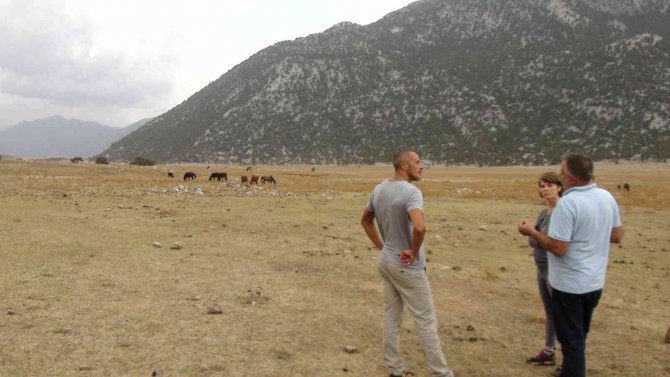 Antalya’nın ’Vahşi Güzelliği’ Yılkı Atları Turistlerin İlgi Odağı Oldu