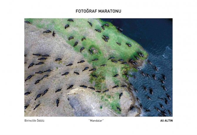 Fotoğrafçılar Maratonu’nda Ödüller Sahiplerini Buldu