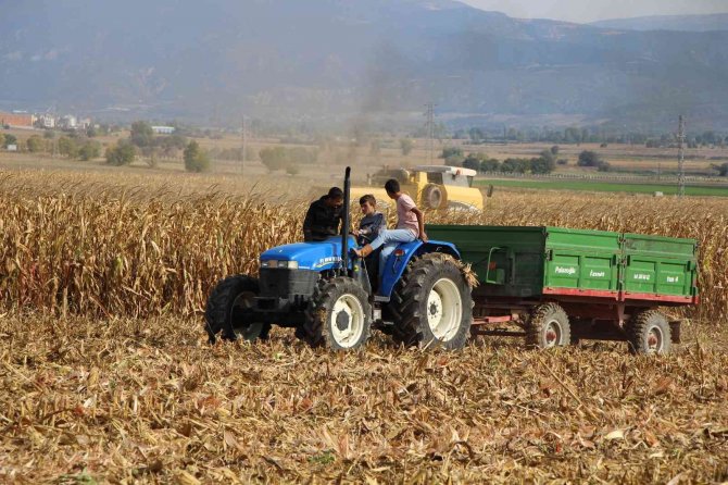 Lise Öğrencileri Ektikleri Mısırın Hasadını Yaptı