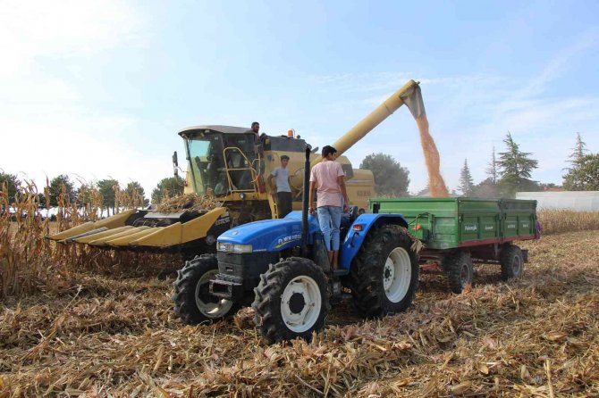 Lise Öğrencileri Ektikleri Mısırın Hasadını Yaptı