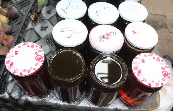 Tescilli Sinop Kestane Balında Verim Yarıya Düştü