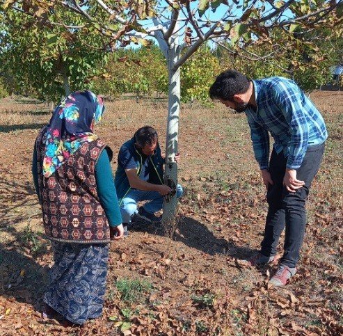 Tavşanlı’da Gülleci Bulamacı Uygulamalı Yapıldı