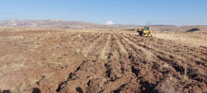Vali Çiçek, Kuşçu Marina’da Devam Eden Ağaçlandırma Ve Fidan Dikimi Proje Çalışmalarını İnceledi