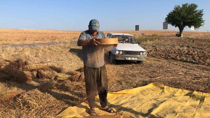 Susamın Zorlu Hasadı