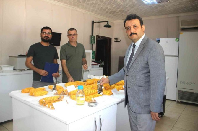 Şanlıurfa’da Yerli Doğal Gübre Hamlesi