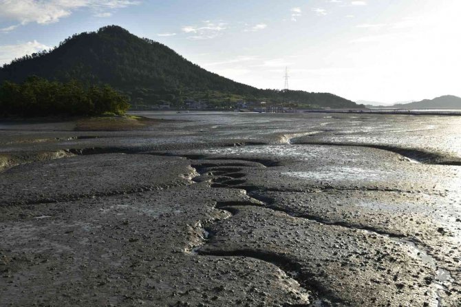 Ekoturizm Alanında Dünyada En Başarılı Güney Kore Örnekleri