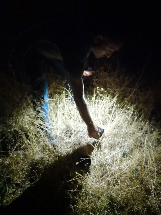 Tunceli’de Kaçak Avcı Denetimi