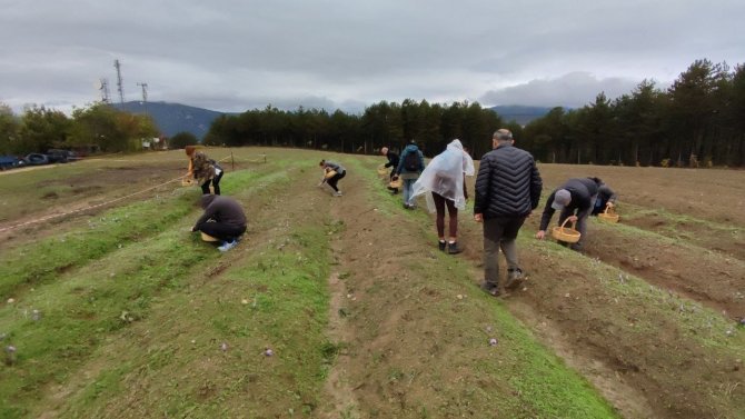 Fransız Turistler Safranbolu’ya Getirilecek