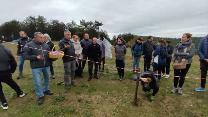 Fransız Turistler Safranbolu’ya Getirilecek