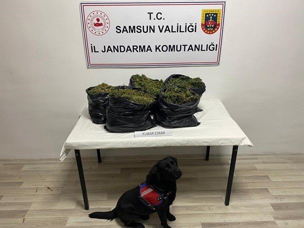 Jandarmadan Uyuşturucu Ve Kaçakçılık Operasyonları: 65 Gözaltı