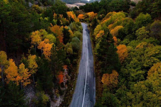 Akdağmadeni Ormanında Güz Renkleri Göz Kamaştırıyor