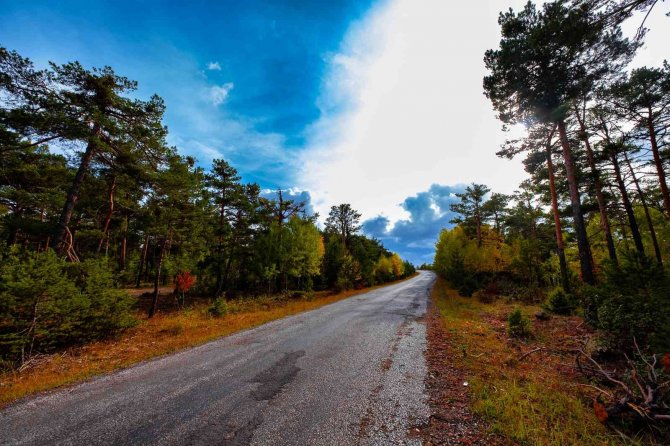 Akdağmadeni Ormanında Güz Renkleri Göz Kamaştırıyor