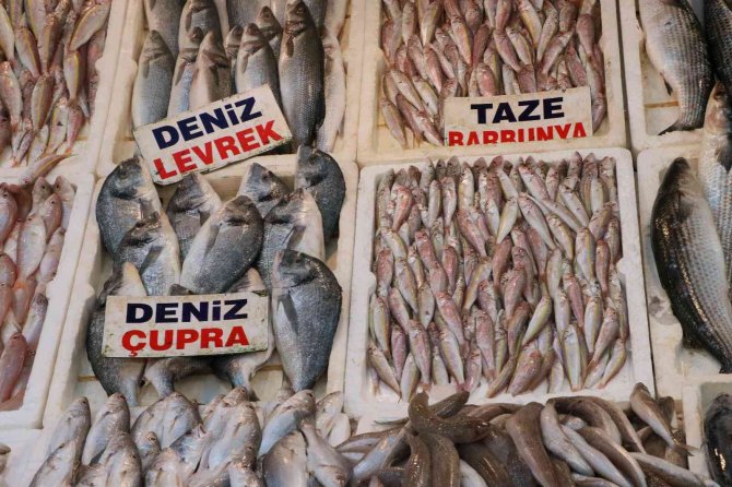 Tezgahlar Balıkla Doldu Taştı, Fiyatlar Yarı Yarıya Düştü