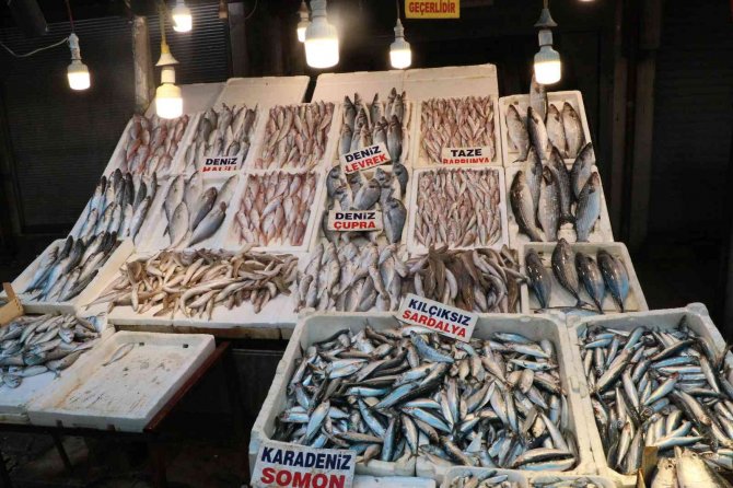 Tezgahlar Balıkla Doldu Taştı, Fiyatlar Yarı Yarıya Düştü