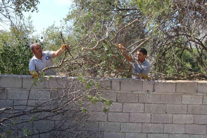 Büyükşehirden Mezarlıklara Bakım Ve Onarım