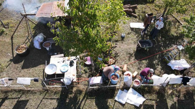 Artvin’de Elma Pekmezi Geleneksel Yöntemlerle Yapılıyor