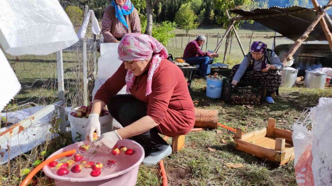 Artvin’de Elma Pekmezi Geleneksel Yöntemlerle Yapılıyor