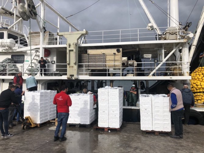 Marmara’da Hamsi Dönemi Başladı