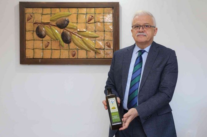 Burhaniye’de Zeytinler Yağa Dönüşmeye Başladı