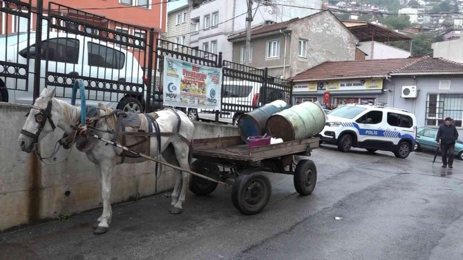 Amcasını Kalbinden Bıçakladı