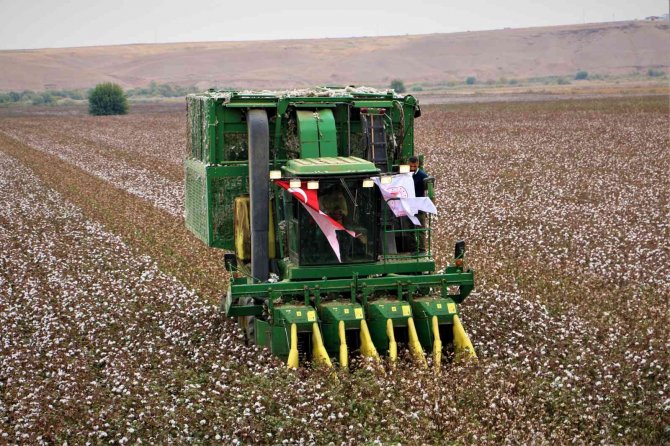 Diyarbakır’da ‘Beyaz Altın’ Hasadı Başladı, Vali Su İlk Hasadı Yaptı