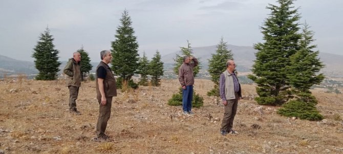 Elazığ’da Yasa Dışı Avcılık Yapan 6 Kişiye İdari İşlem Uygulandı