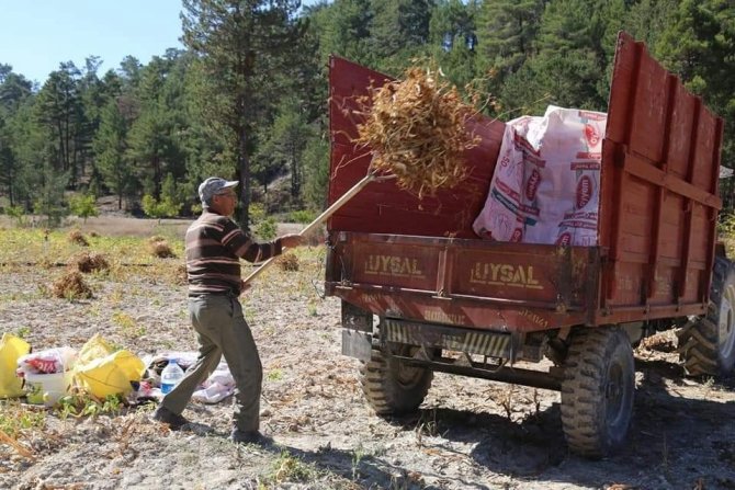 Çameli Fasulyesinin Tarladan Sofraya Yolculuğu Başladı