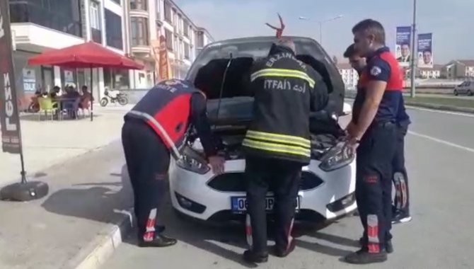 Aracın Motoruna Sıkışan Yavru Kediyi İtfaiye Kurtardı