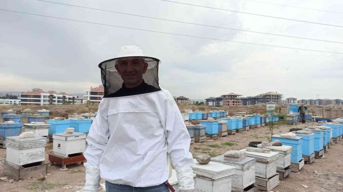 Eskişehir’de Kovanlar 20’şer Kilo Bal Verdi