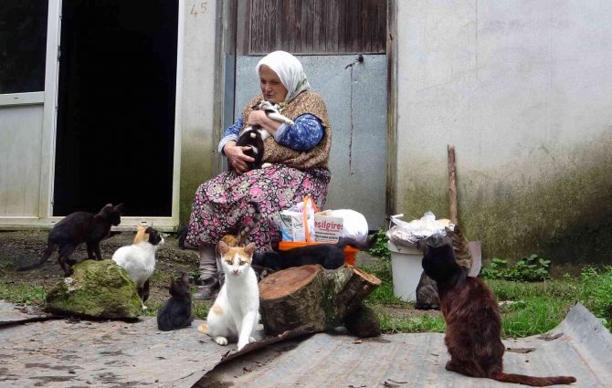 Çocuk Sevgisini Kedilerde Buldu