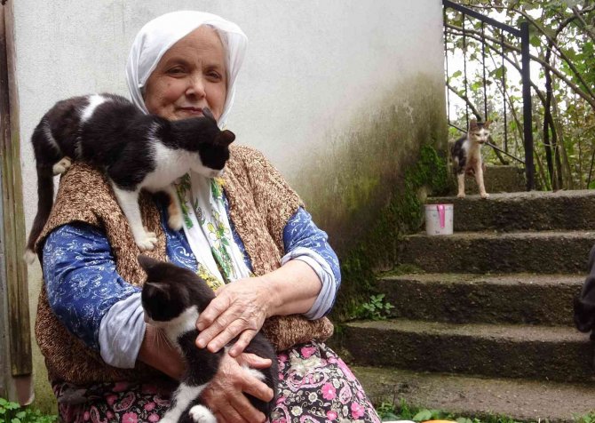 Çocuk Sevgisini Kedilerde Buldu