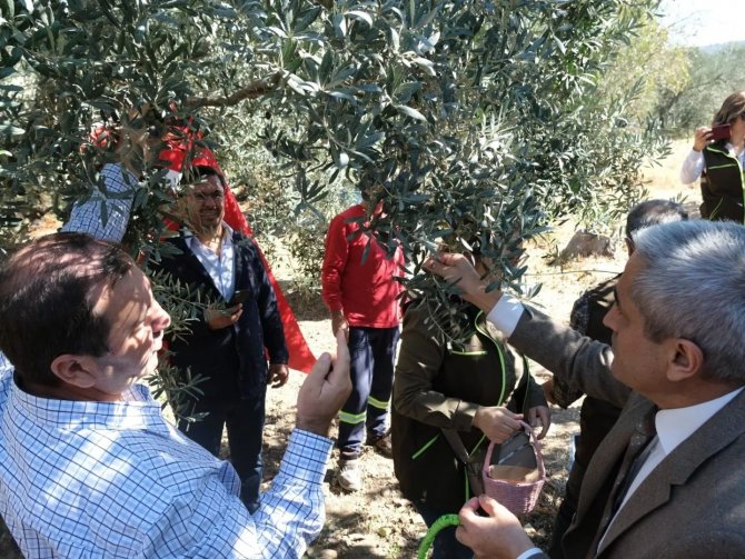 Aliağa, Sanayinin Yanında Tarımda Da Ülke Ekonomisine Katkı Sağlıyor
