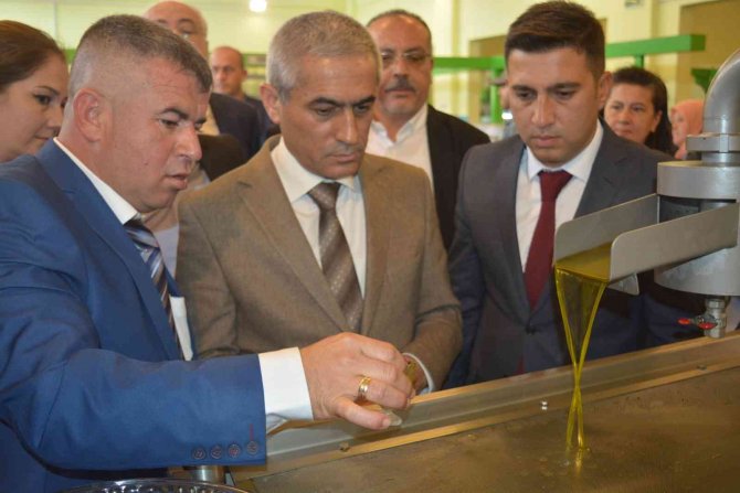 Aliağa, Sanayinin Yanında Tarımda Da Ülke Ekonomisine Katkı Sağlıyor