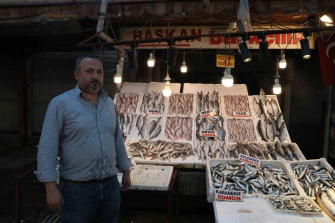 Tezgahlar Balıkla Doldu Taştı, Fiyatlar Yarı Yarıya Düştü