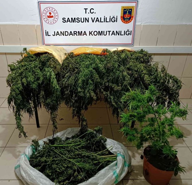 Jandarmadan Uyuşturucu Ve Kaçakçılık Operasyonları: 65 Gözaltı