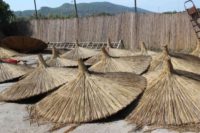 Dünyanın Dört Bir Yanına Hasır Ürünlerini İhraç Eden Romanlar Bu Sezon Adeta Dolar Ördü