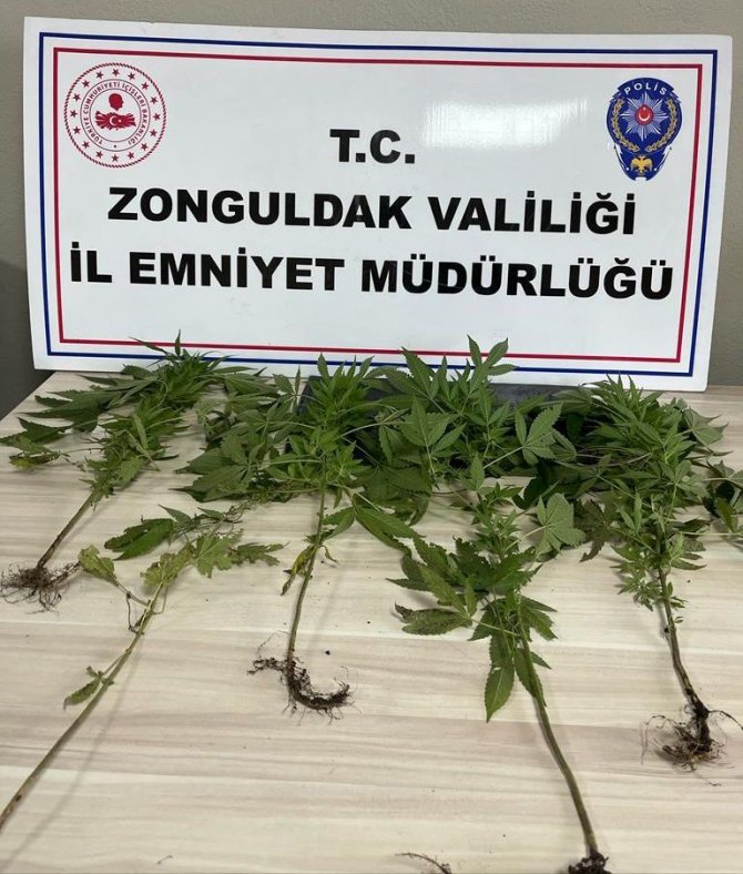 Zonguldak Ve Ereğli’de Uyuşturucu Operasyonu: 4 Gözaltı