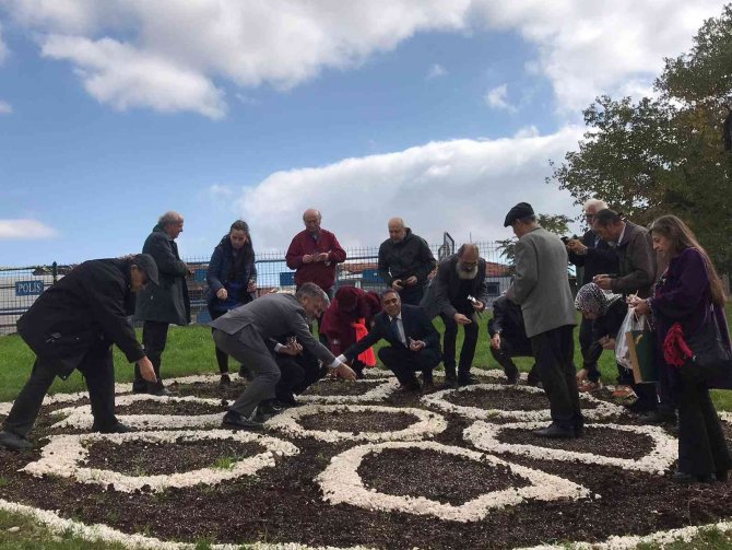 Ankara Kalesi ’Sevgi Çiçekleri’yle Renklenecek