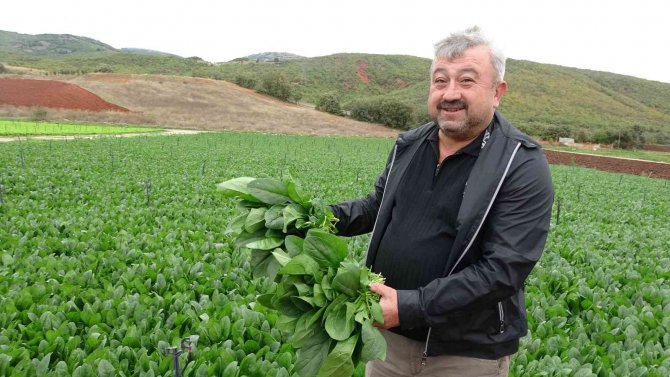 Sonbaharın Gözdesi, Havaların Soğuması İle Talep Arttı