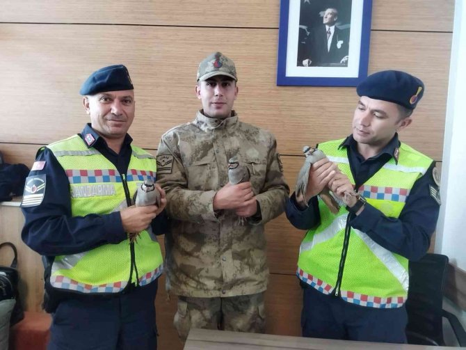 Erciş’te Kafes Avcılığı