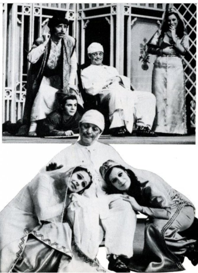 Ahmet Vefik Paşa’nın Doğumunun 200. Yıl Anısına ‘Meraki’