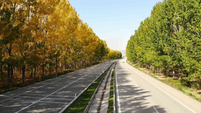 Karayolunda Sonbahar Koridoru