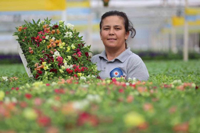 Antalya Sokaklarını 3 Milyon Çiçek Süsleyecek